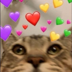 Meet your Posher, Jada "muffin"